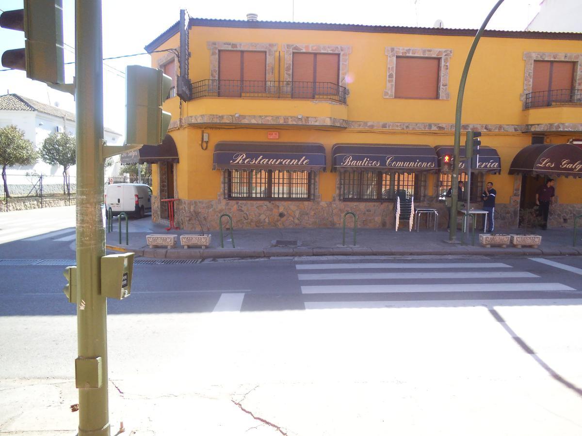Hostal Los Galgos Yepes Ngoại thất bức ảnh